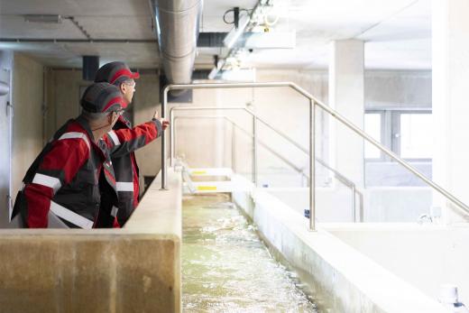 Alewijnse Oasen water treatment