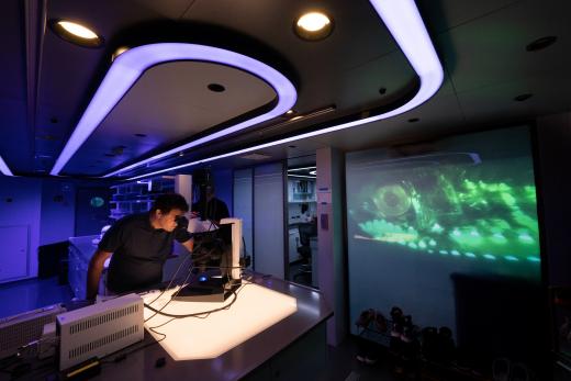 Caption Information: OceanX Vice Chairman Dr. Vincent Pieribone prepares a sample to be viewed under the microscope. The sample was collected by OceanX’s 6000-meter ROV (remotely operated vehicle). Dry Lab Two is OceanXplorer’s microscopy and imaging laboratory facility where the team utilizes the stereo fluorescence microscope, allowing scientists to look for biofluorescence in different creatures. Credit: Andy Mann