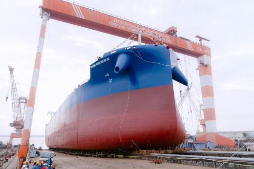 Alewijnse Vietnam Truong Minh 02 bulk carrier Dongbacshin