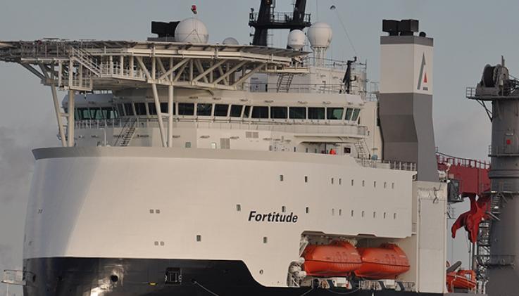 Fortitude
