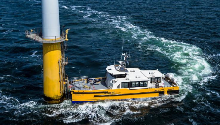 Windcat 55