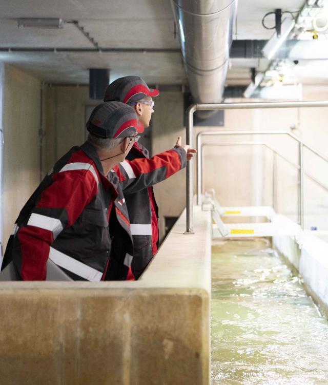 Alewijnse drinking water company Vitens